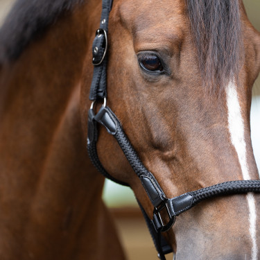 Halster Imperial Riding Laura Zwart