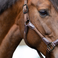 Licol Imperial Riding Laura Chocolat Marron Licol Imperial Riding Laura Chocolat Marron