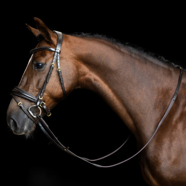 Rênes Imperial Riding en caoutchouc à picots Marron foncé
