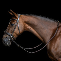 Rênes Imperial Riding en caoutchouc avec renfort en nylon Marron foncé