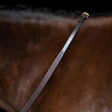 Rênes Imperial Riding en caoutchouc avec renfort en nylon Marron foncé