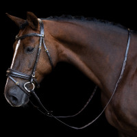 Rênes Imperial Riding en caoutchouc avec repère de pouce Marron foncé
