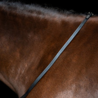 Rênes Imperial Riding en cuir lisse Noir
