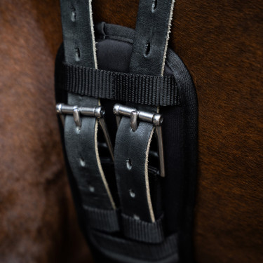 Sangle de dressage Imperial Riding à mémoire de forme Noir