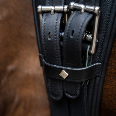 Sangle de dressage Imperial Riding anatomique avec boucles à rouleaux Noir
