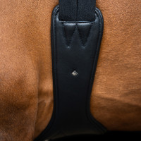 Sangle de saut Imperial Riding anatomique avec boucles à rouleaux Noir