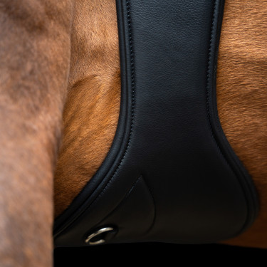 Sangle de saut Imperial Riding anatomique avec boucles à rouleaux Noir