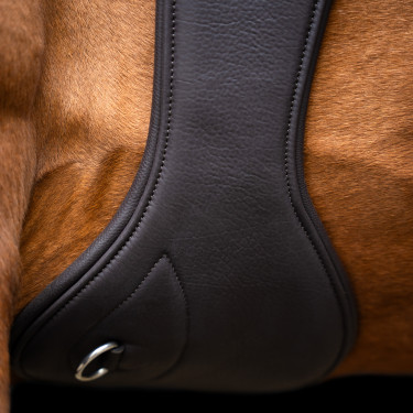 Sangle de saut Imperial Riding anatomique avec boucles à rouleaux Marron foncé Sangle de saut Imperial Riding anatomique avec boucles à rouleaux Marron foncé