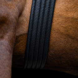 Sangle de saut Imperial Riding Basic Noir