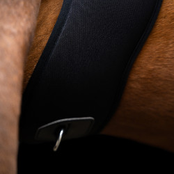 Sangle de saut Imperial Riding Basic anatomique en néoprène Noir