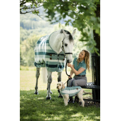 Pantalon Horseware Newmarket taille haute full seat Orage Bleu