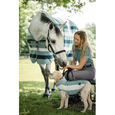 Pantalon Horseware Newmarket taille haute full seat Orage Bleu