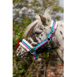 Licol Funny Horses HKM Violet / aqua / argent