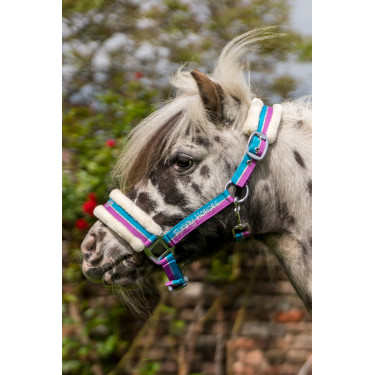 Licol Funny Horses HKM Violet / aqua / argent