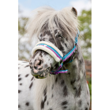 Halster Funny Horses HKM Violet / aqua / zilver