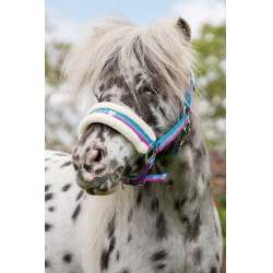 Licol Funny Horses HKM Violet / aqua / argent