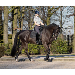 Tapis dressage LeMieux Carbon Mesh Square Noir