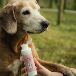 Gel Mouv Nutragile Chien et chat