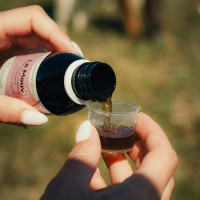 Mouv Nutragile