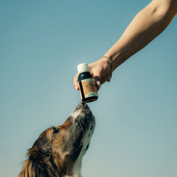 Tonic Nutragile