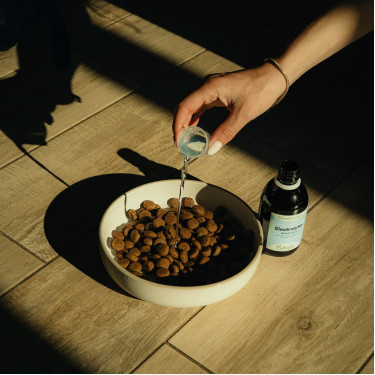 Elektrolyten Nutragile