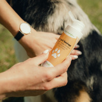 Gel verzachtend Nutragile Hond en kat