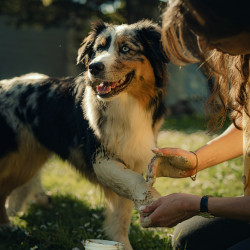 Nutragile kleipoultice voor hond en kat