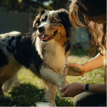 Nutragile kleipoultice voor hond en kat