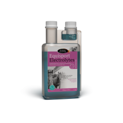 Equisport Electrolytes Horse Master