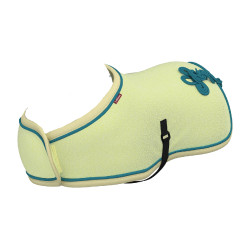 Wedstrijddekje voor speelgoed Mini Pony LeMieux Badge Groen Wedstrijddekje voor speelgoed Mini Pony LeMieux Badge Groen
