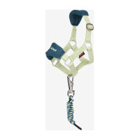 Licol vogue pour jouet Mini Poney LeMieux Azure Bleu Licol vogue pour jouet Mini Poney LeMieux Azure Bleu