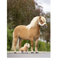 Mini Poney LeMieux Lemon ancien modèle