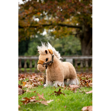 Mini Pony LeMieux Lemon Bewolkt Mini Pony LeMieux Lemon Bewolkt