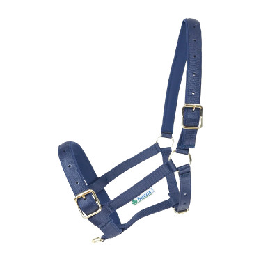 Licol Bucas Dublin Bleu marine / bleu marine