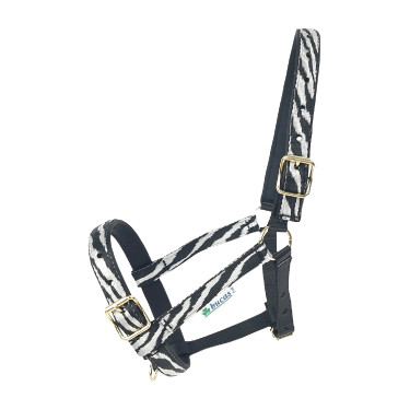 Licol Bucas Dublin Zebra / noir Motifs