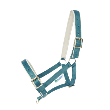 Licol Bucas Dublin Atlantic / argent Bleu