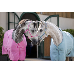 Chemise Bucas Freedom Twill