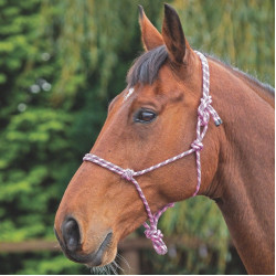 Licol éthologique Shires Rose / noir