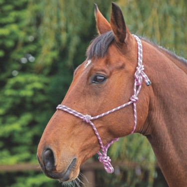Licol éthologique Shires Rose / noir