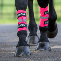 Guêtres réfléchissantes Equi-Flector® Shires Rose