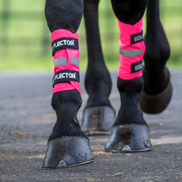 Guêtres réfléchissantes Equi-Flector® Shires Rose