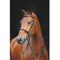 Bridon Fairford Salisbury Shires Bridon Fairford Salisbury Shires