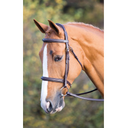 Bridon Fairford Salisbury Shires