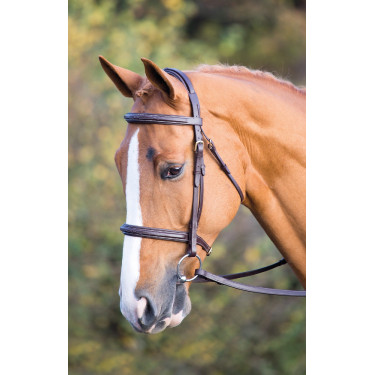 Bridon Fairford Salisbury Shires
