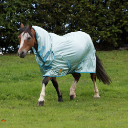 Volledige anti-vliegendeken Shires Winnie & Me Blauw Volledige anti-vliegendeken Shires Winnie & Me Blauw