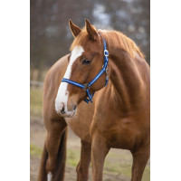 Halster Hippo Covalliero Marine / lichtblauw