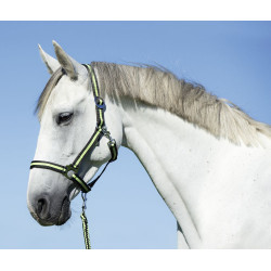 Licol Hippo Covalliero Anthracite / citron Gris Licol Hippo Covalliero Anthracite / citron Gris