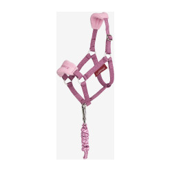 Licol et longe Vogue Hobby Horse LeMieux Mallow Violet Licol et longe Vogue Hobby Horse LeMieux Mallow Violet