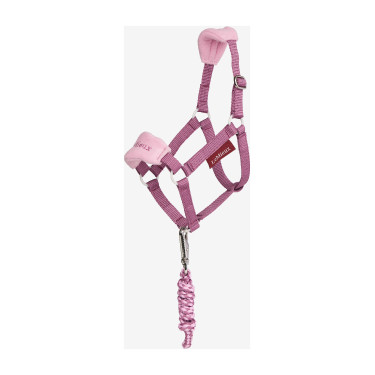 Licol et longe Vogue Hobby Horse LeMieux Mallow Violet Licol et longe Vogue Hobby Horse LeMieux Mallow Violet