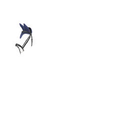 Vliegendeken-oorbeschermers LeMieux Air-Tek meshstof Shadow Blauw Vliegendeken-oorbeschermers LeMieux Air-Tek meshstof Shadow Blauw